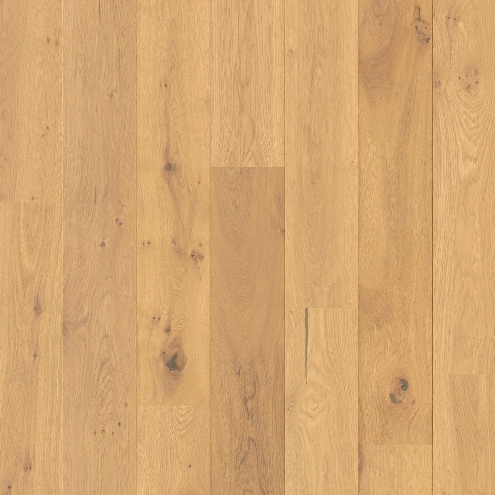 Cappuccino Blonde Oak