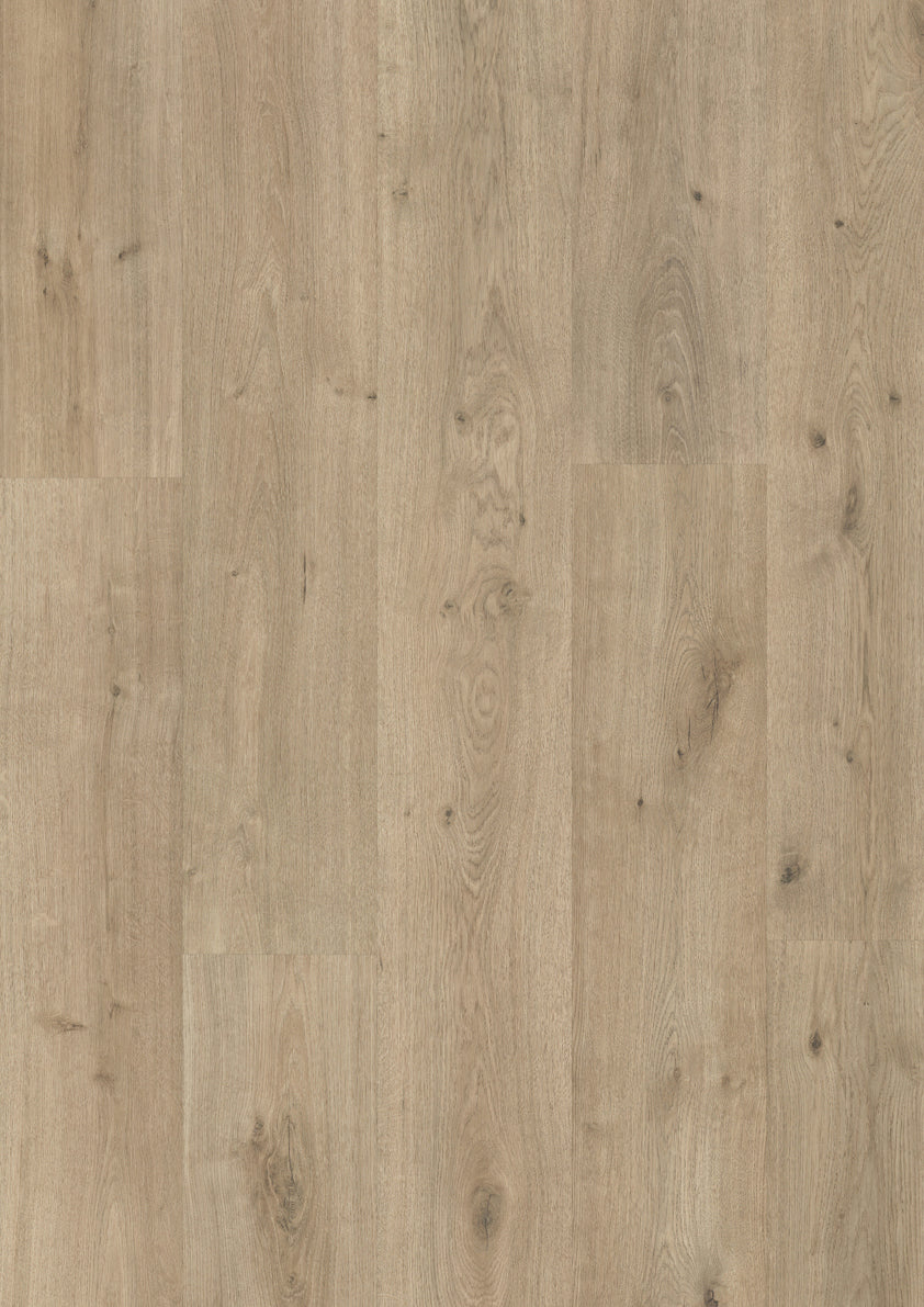 Century Vera Oak