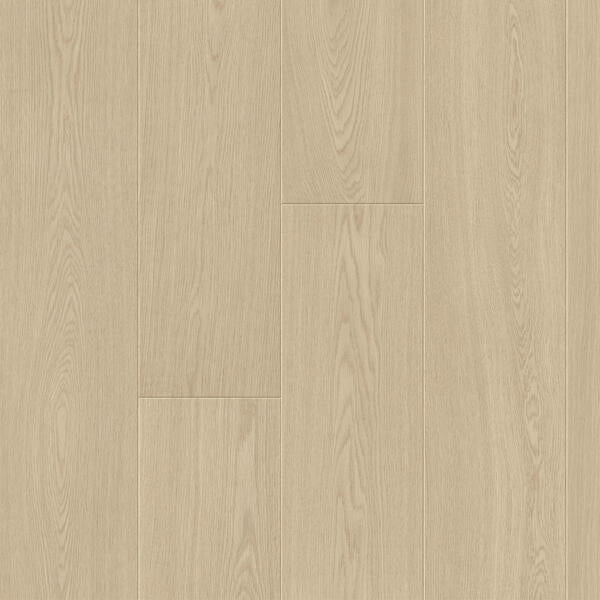 Clay Oak