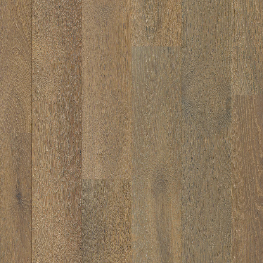 Parchment Oak