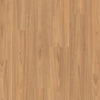 Blackbutt Light - Quickstep