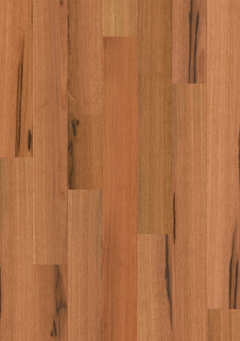 Spotted Gum, 1-Strip - Quickstep