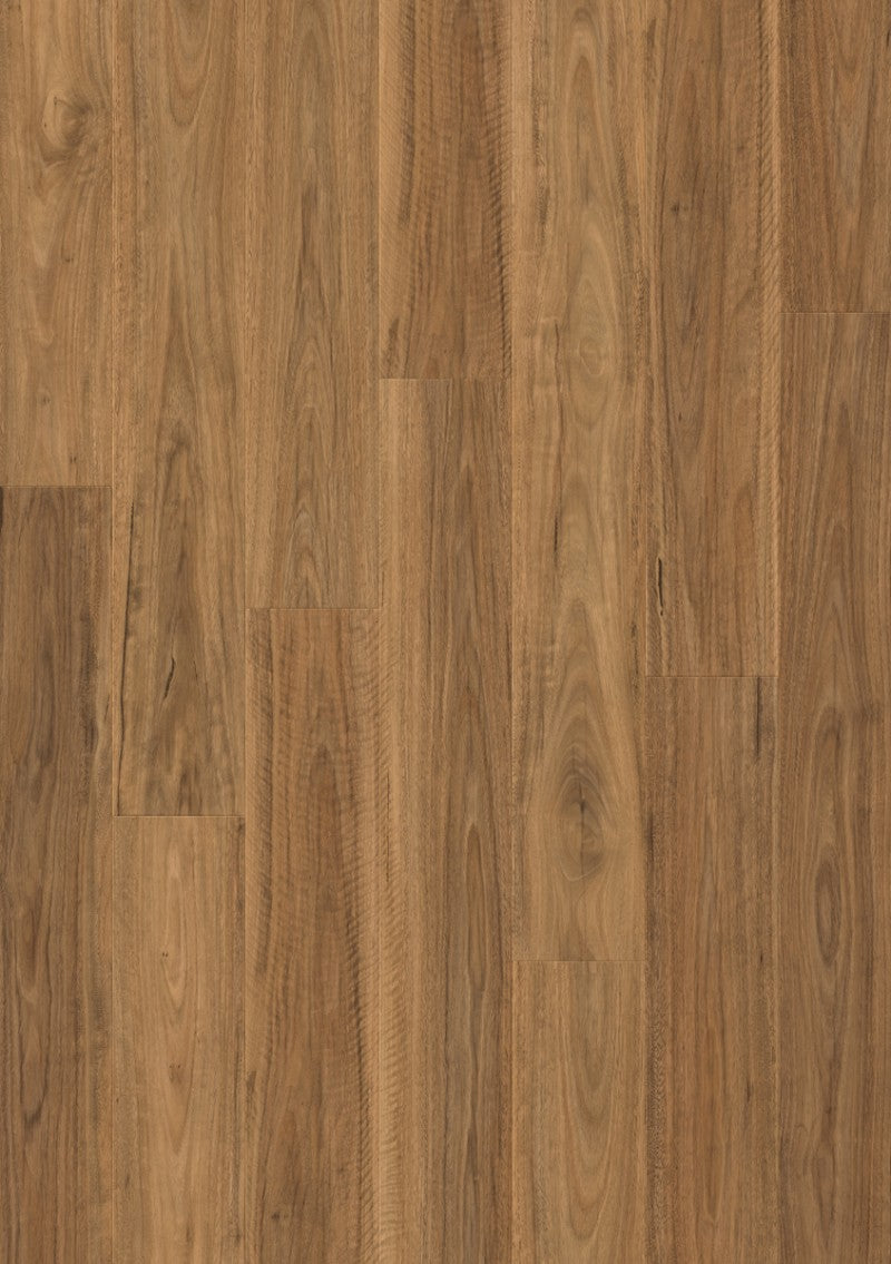 Spotted Gum - Quickstep