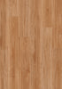 Blackbutt - Titan