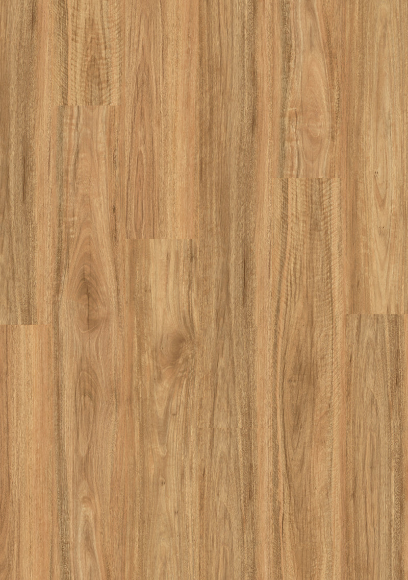 Stonewashed Spotted Gum - Titan