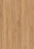 Bleached Blackbutt - Titan