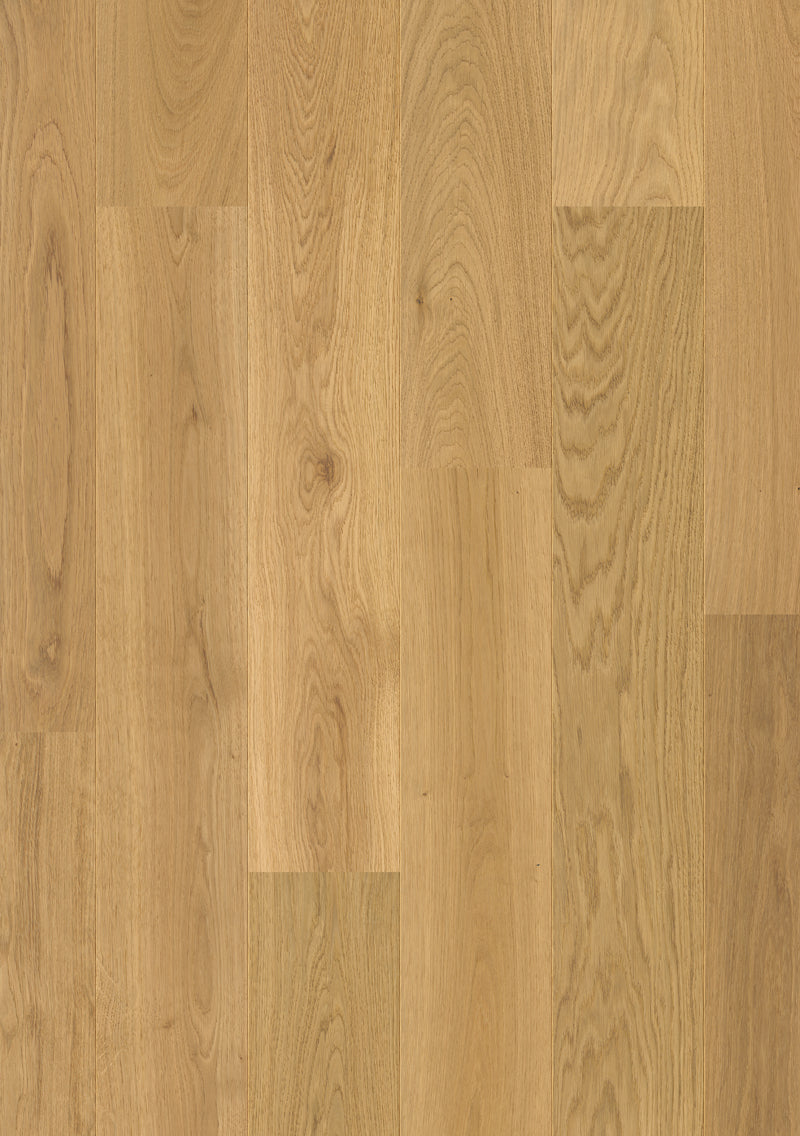 Mahagony Oak - Pergo