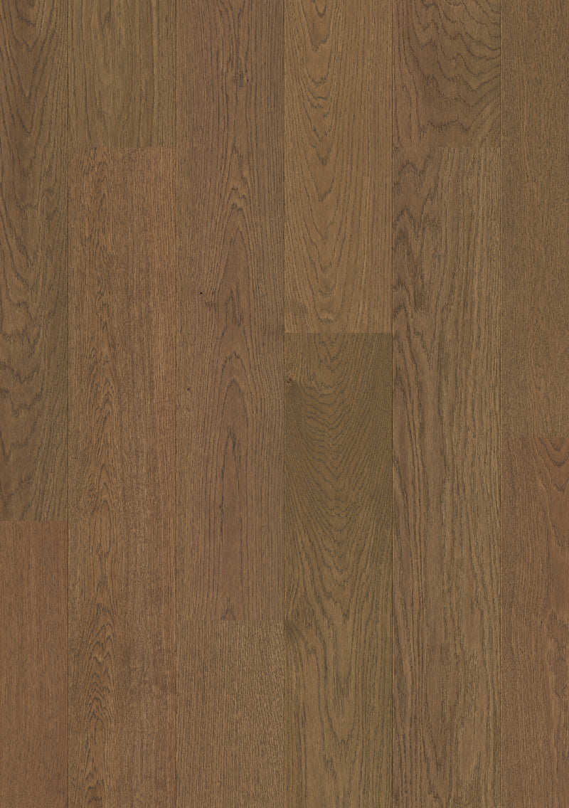 Anchor Grey Oak - Pergo